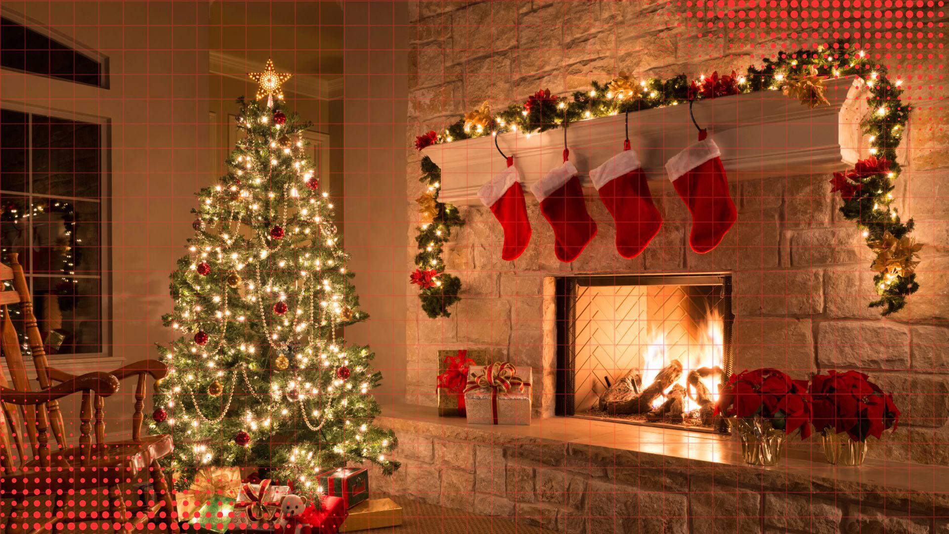 When Our Bookstore Became a Sanctuary