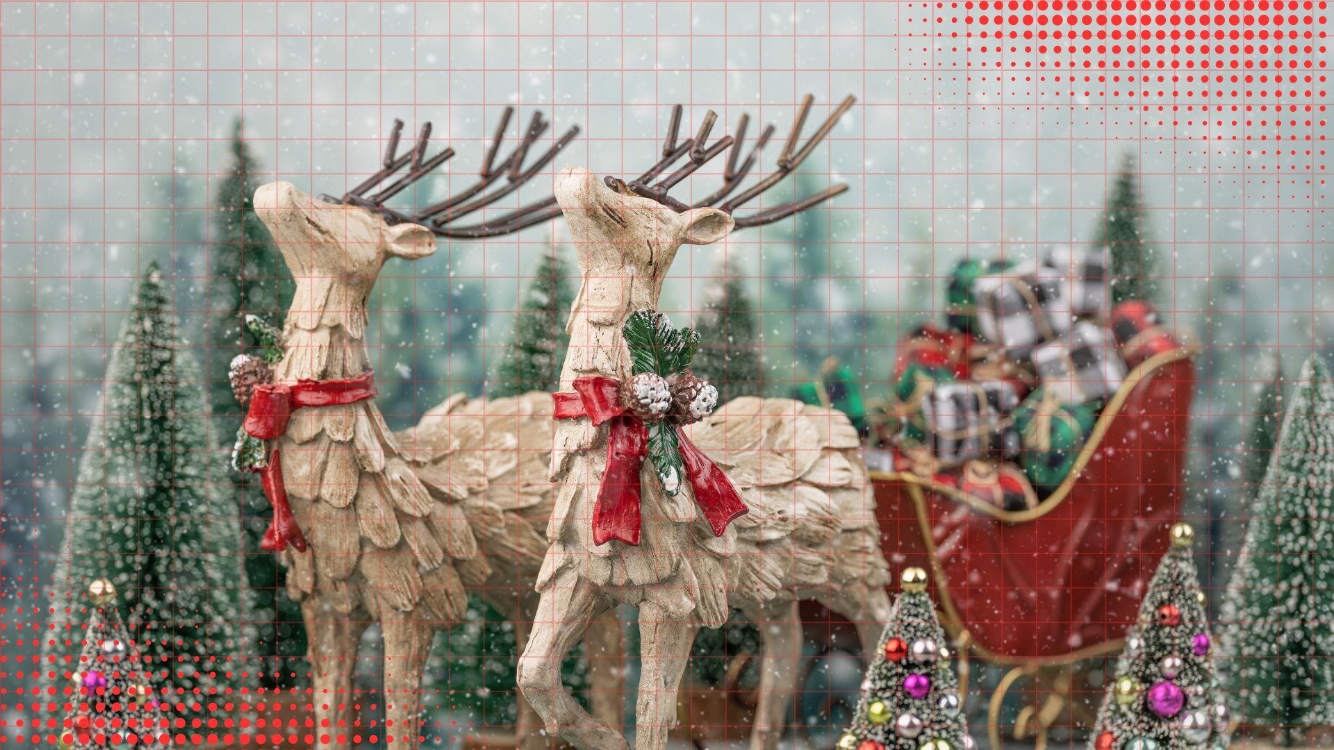 The Little Donkey's Big Journey